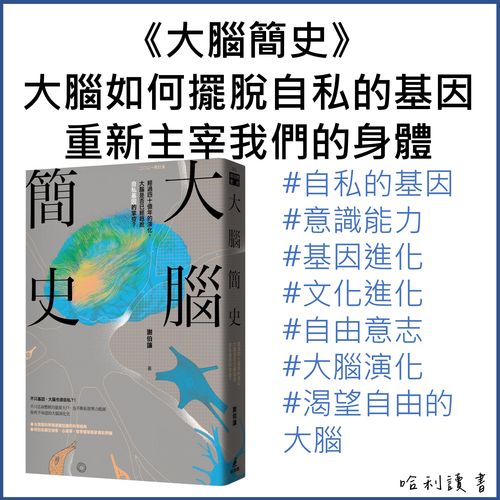 《大腦簡史》大腦如何擺脫自私的基因，重新主宰我們的身體